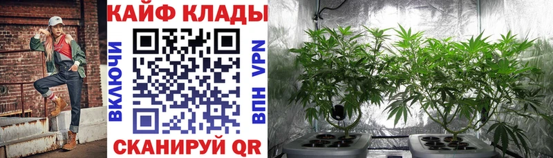 Продажа наркотиков Раменское Бутират  Амфетамин  Гашиш  Alpha PVP  МАРИХУАНА 