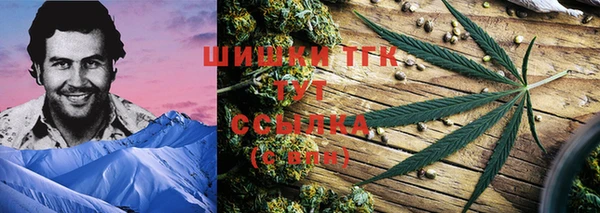 сатива Алзамай