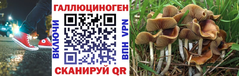 цена   Раменское  Псилоцибиновые грибы прущие грибы 