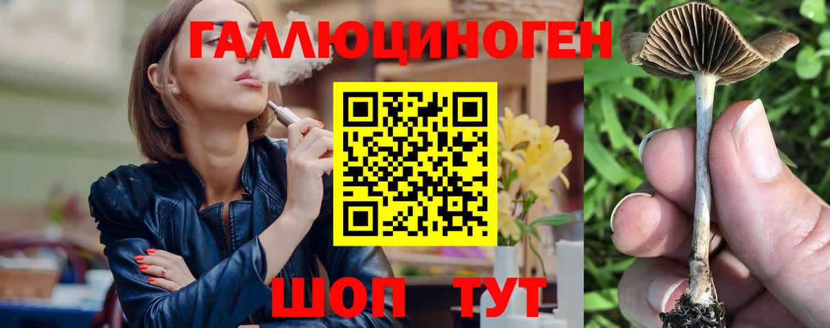 Псилоцибиновые грибы прущие грибы  Вход с VPN  Псилоцибиновые грибы прущие грибы  как найти наркотики  Раменское 